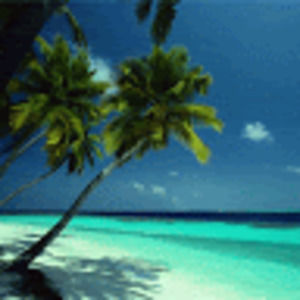 Meet your Posher, Jaidyn